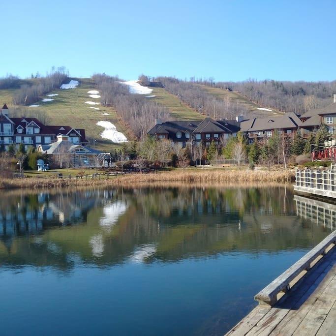 Blue Mountain Suites Blue Mountains Exterior foto